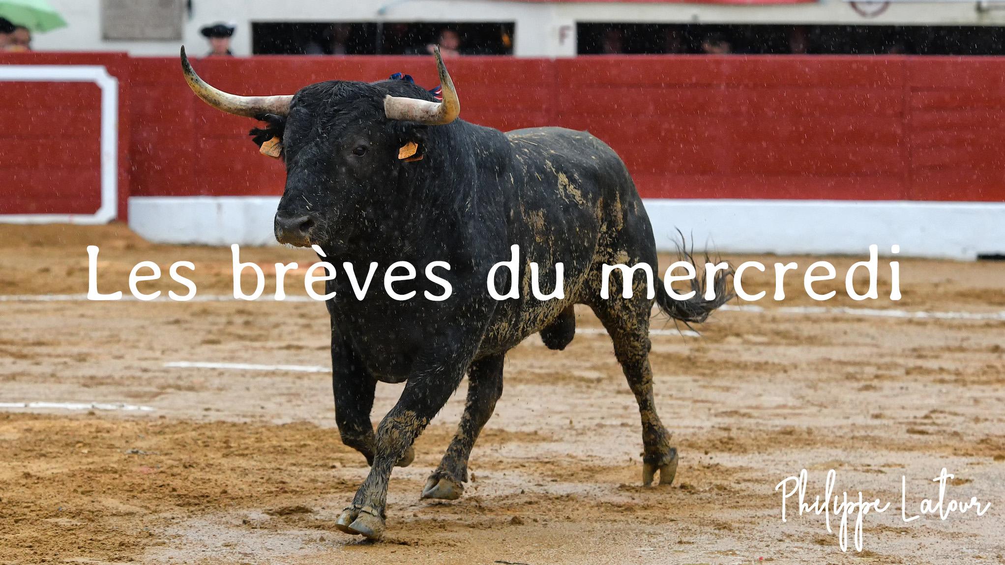 Les brèves du mercredi 11 juin