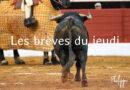 Les brèves du jeudi 8 mai