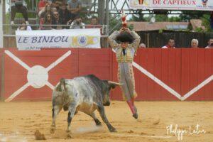 jarocho