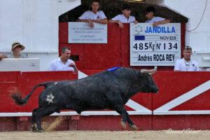 24 08 15 BEZIERS CHICOT (139)