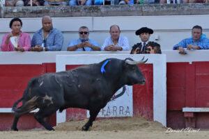 24 08 15 BEZIERS CHICOT (237)
