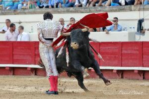 24 08 15 BEZIERS CHICOT (273)