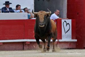 24 08 15 BEZIERS CHICOT (63)