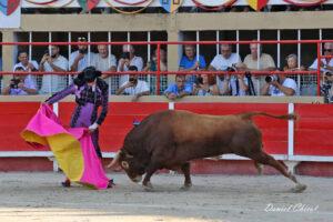 24 08 30 ST GILLES CHICOT (201)