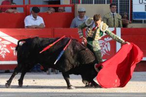 24 08 30 ST GILLES CHICOT (268)
