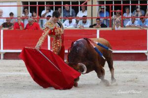 24 08 30 ST GILLES CHICOT (394)