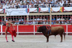 24 08 30 ST GILLES CHICOT (419)