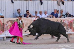 24 09 07 ARLES CHICOT (238)