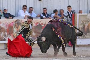 24 09 07 ARLES CHICOT (272)