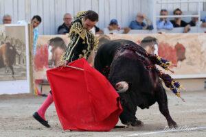 24 09 07 ARLES CHICOT (282)