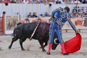 24 09 07 ARLES CHICOT (345)