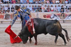 24 09 07 ARLES CHICOT (361)