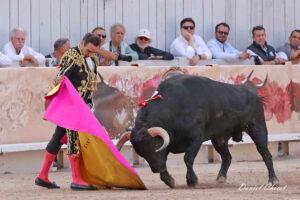 24 09 07 ARLES CHICOT (415)