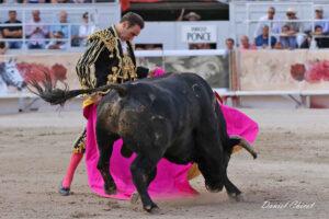 24 09 07 ARLES CHICOT (424)