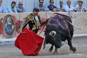 24 09 07 ARLES CHICOT (447)