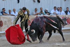 24 09 07 ARLES CHICOT (453)