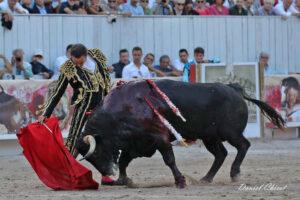 24 09 07 ARLES CHICOT (466)