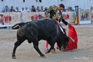 24 09 07 ARLES CHICOT (484)