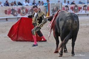 24 09 07 ARLES CHICOT (513)