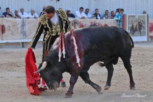 24 09 07 ARLES CHICOT (523)