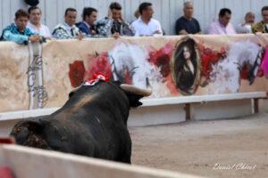 24 09 07 ARLES CHICOT (562)