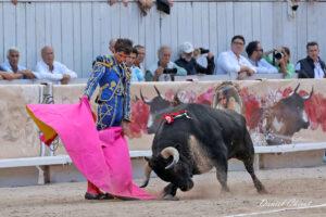 24 09 07 ARLES CHICOT (566)