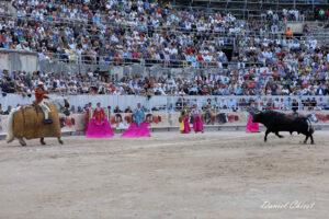 24 09 07 ARLES CHICOT (580)