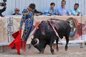 24 09 07 ARLES CHICOT (614)