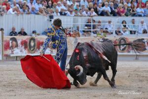 24 09 07 ARLES CHICOT (618)