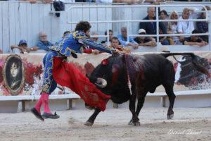 24 09 07 ARLES CHICOT (649)