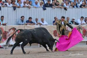 24 09 07 ARLES CHICOT (666)