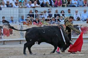 24 09 07 ARLES CHICOT (693)