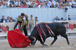 24 09 07 ARLES CHICOT (702)