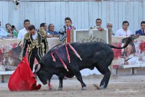 24 09 07 ARLES CHICOT (708)