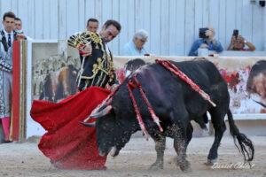 24 09 07 ARLES CHICOT (716)