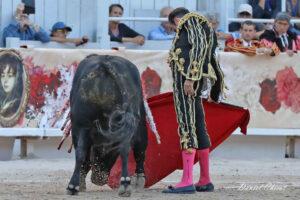 24 09 07 ARLES CHICOT (724)