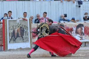 24 09 07 ARLES CHICOT (738)