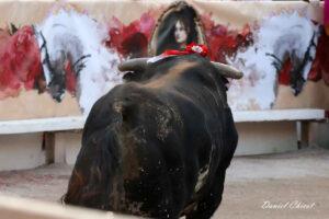 24 09 07 ARLES CHICOT (810)