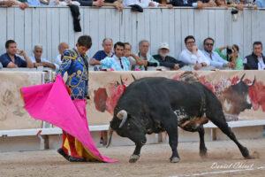 24 09 07 ARLES CHICOT (819)