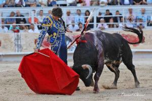 24 09 07 ARLES CHICOT (870)