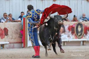 24 09 07 ARLES CHICOT (908)