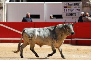 24 09 14 M NIMES CHICOT (161)