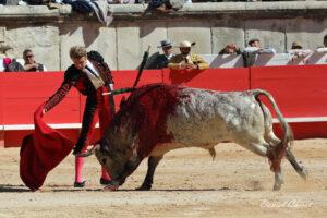 24 09 14 M NIMES CHICOT (201)