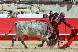24 09 14 M NIMES CHICOT (215)