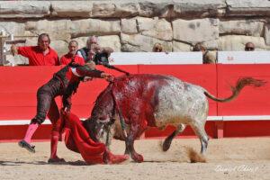 24 09 14 M NIMES CHICOT (260)