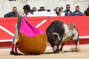 24 09 14 M NIMES CHICOT (450)