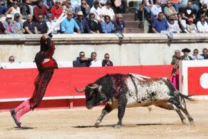 24 09 14 M NIMES CHICOT (465)