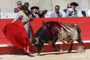 24 09 14 M NIMES CHICOT (474)