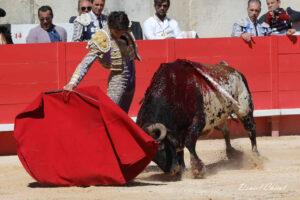 24 09 14 M NIMES CHICOT (478)