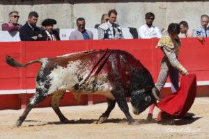 24 09 14 M NIMES CHICOT (479)